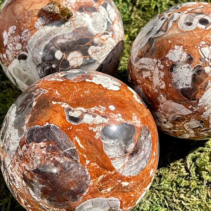 1pc Nature Money Lace Agate Sphere, Polished Stone, Home Decor, Perfect Holiday Gift, family theme, Divination Ball