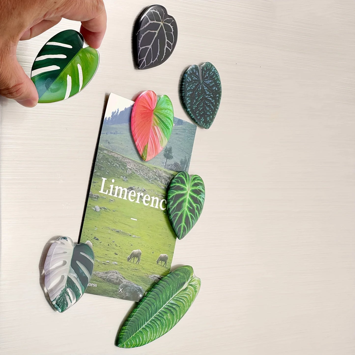 Refrigerator Magnet - Tropical Leaf Design Kitchen Decoration - Natural Inspired Home Decor