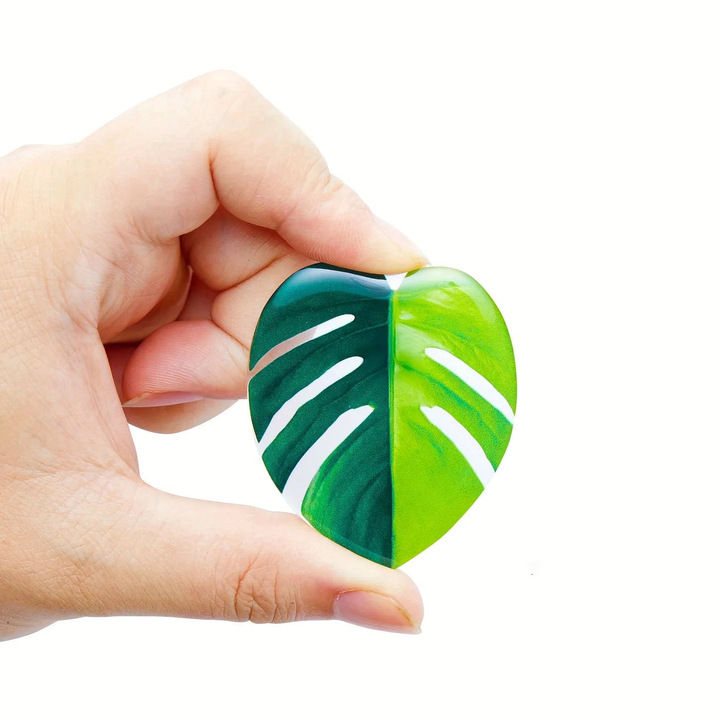 Refrigerator Magnet - Tropical Leaf Design Kitchen Decoration - Natural Inspired Home Decor