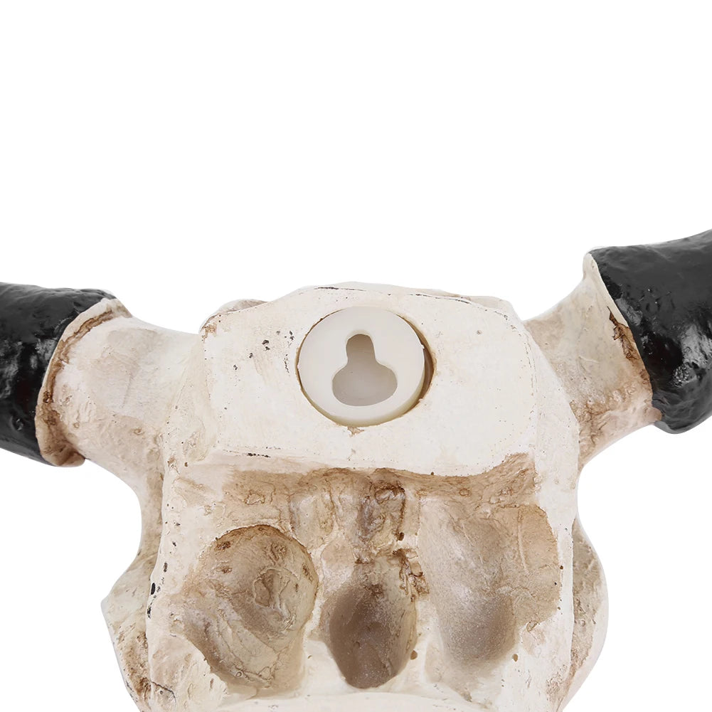 Longhorn Cow Skull Head Ornament Wall Hanging Animal Wildlife Sculpture Figurines Crafts Realistic for Home Halloween Decor