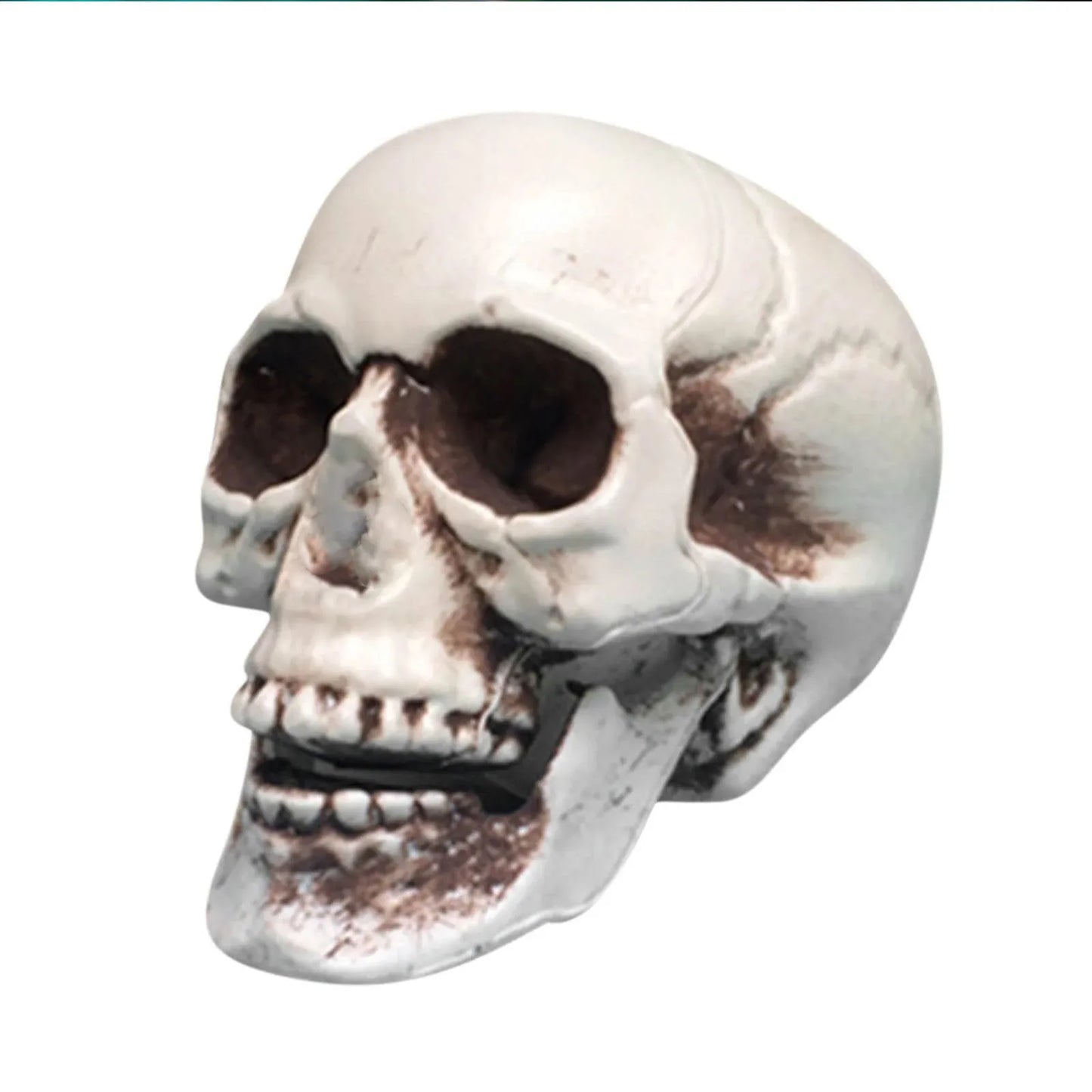 Halloween Large Medium And Small-Sizedskull Props Escape Room Haunted House Decoration Items And Props Decorative Party Supplies