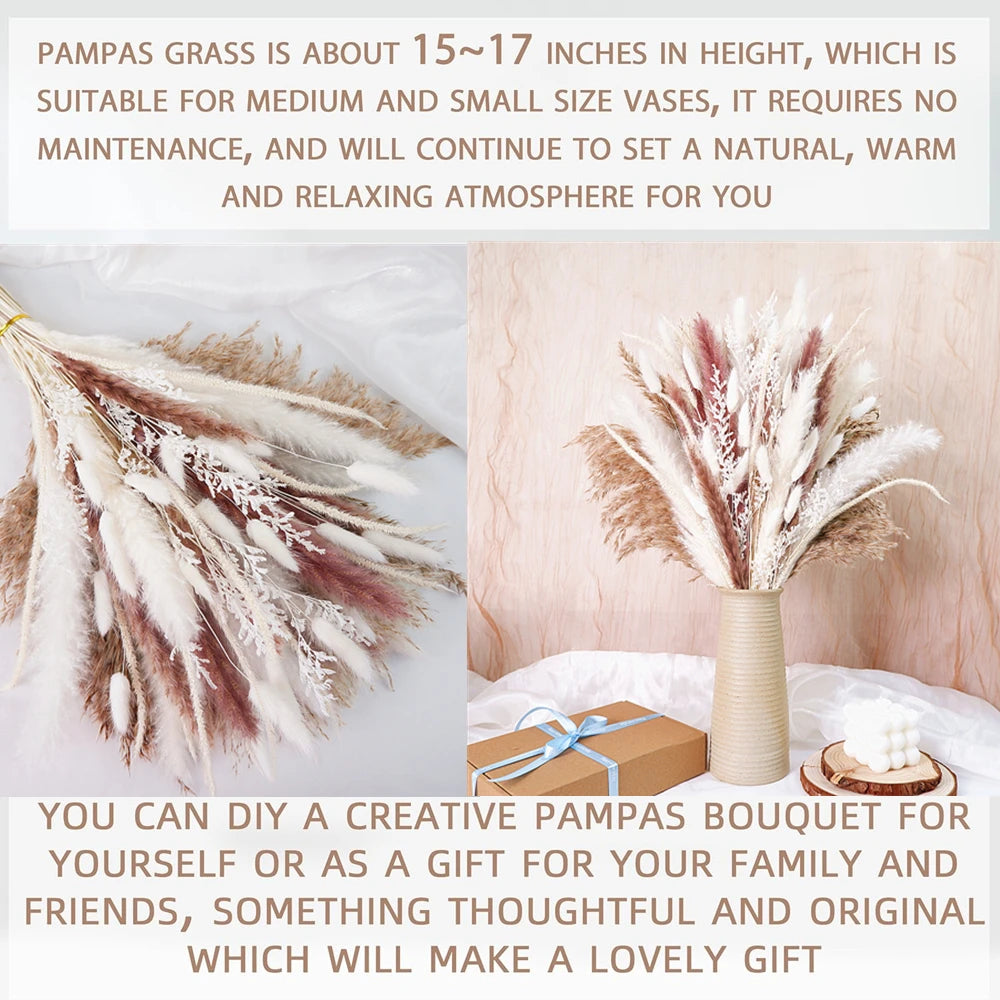 Dried Pampas Grass Decor 80-110 PCS Pampas Grass with Bunny Tails Dried Flowers Reed Grass Bouquet for Wedding Boho Flowers
