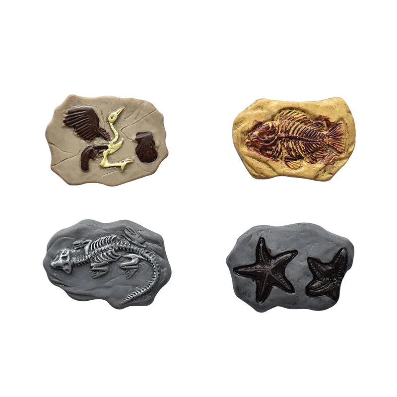 4Pcs Mini Simulation Dinosaur Fossil Model Dollhouse Micro Landscape Miniatures Crafts Decorations Dolls House Ornament Toy