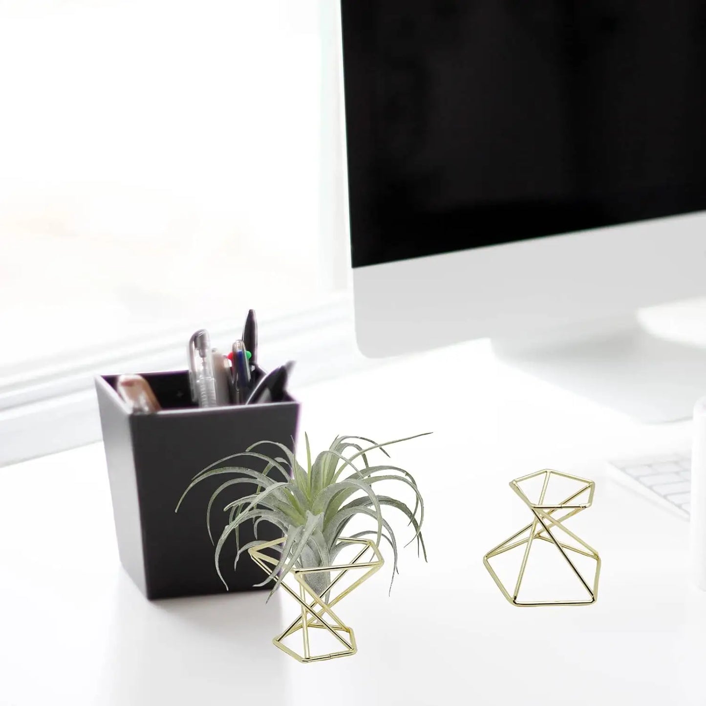 20 PCS Air Plants Holders Unique Geometric Metal Plant Stands Airplants Container Live Air Fern Display Racks Small Decor Items