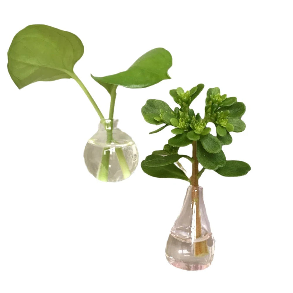 8/6/5Pcs Cute Refrigerator Magnets Ceramic Vase 3D Fridge Stickers Kitchen Office Refrigerator Decoration Kitchen Decoration