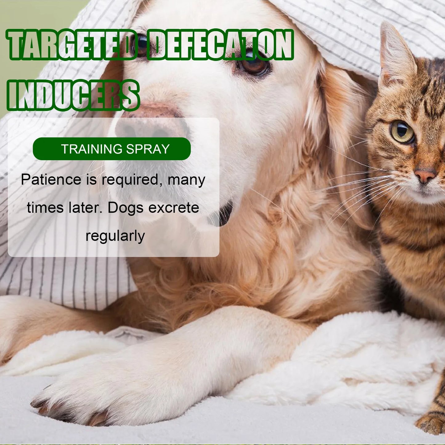 Yegbong 30ml Pet Toilet Training Spray Dog Poops Cat Pee Positioning Defecation Scent Stool Location Pet Potty Training Spray