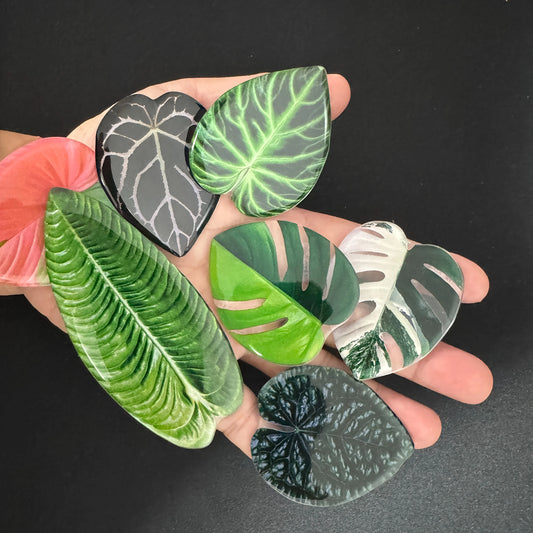 Refrigerator Magnet - Tropical Leaf Design Kitchen Decoration - Natural Inspired Home Decor