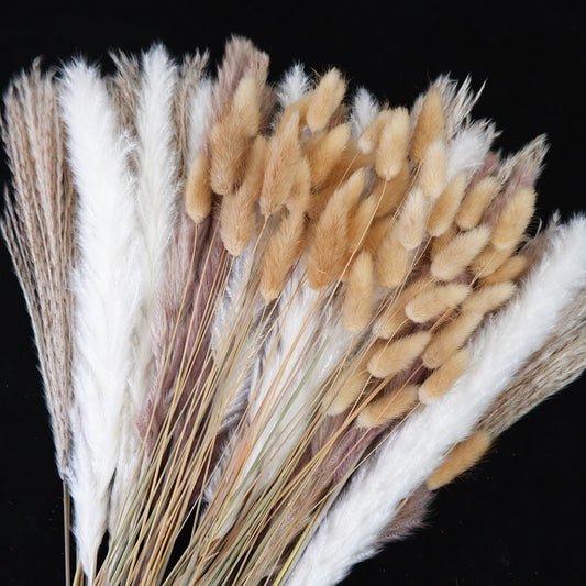 Dried Pampas Grass Decor 80-110 PCS Pampas Grass with Bunny Tails Dried Flowers Reed Grass Bouquet for Wedding Boho Flowers