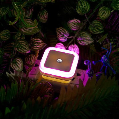 Wireless LED Night Light Motion-Sensor Lighting