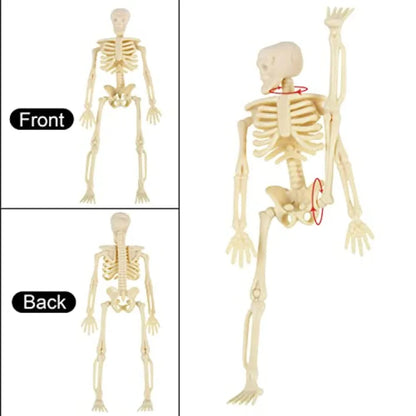 eletons for Halloween Decor 6 Piece Mini Seleton Figurines 6 Small eleton Halloween tion for Haunted Hoe Accessories Party Fav