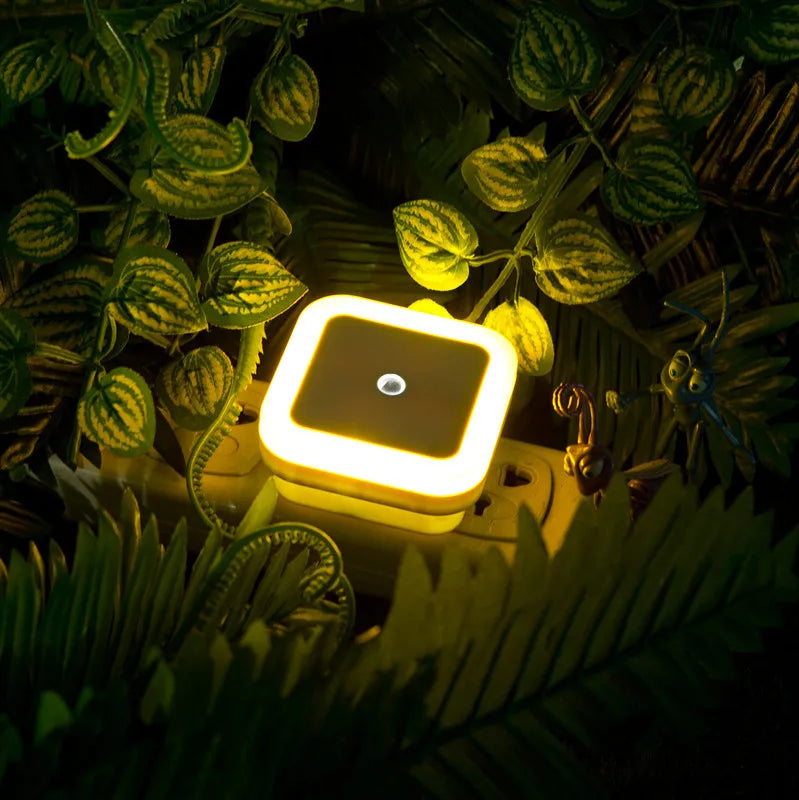 Wireless LED Night Light Motion-Sensor Lighting