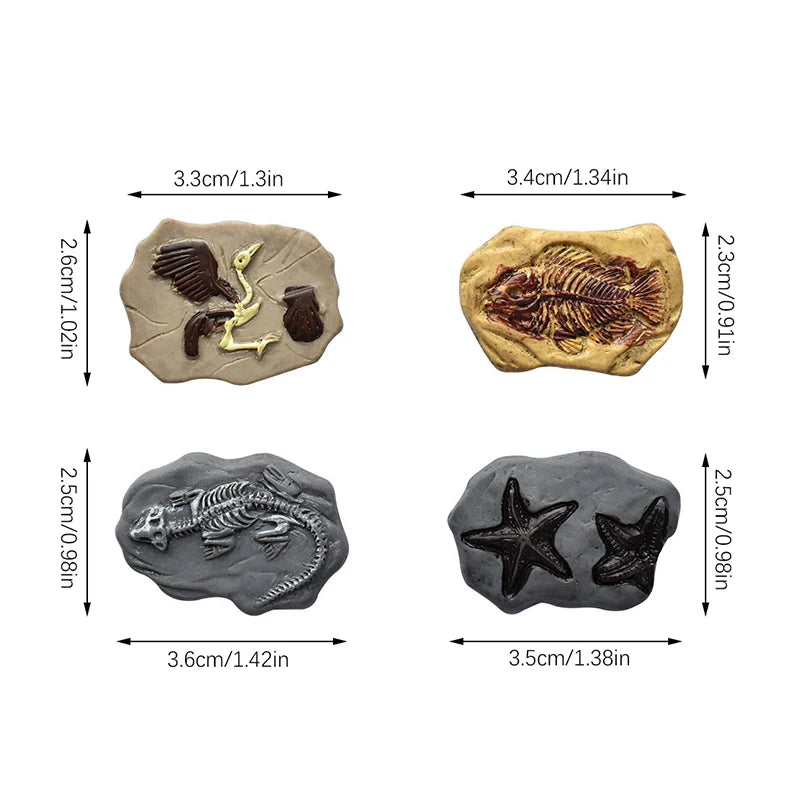 4Pcs Mini Simulation Dinosaur Fossil Model Dollhouse Micro Landscape Miniatures Crafts Decorations Dolls House Ornament Toy