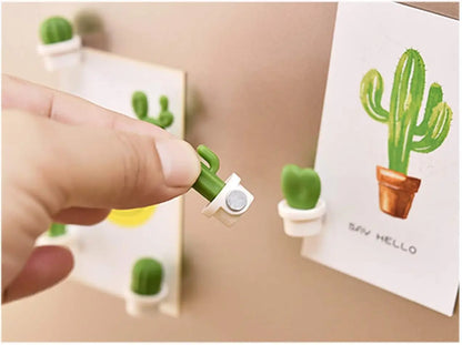 Decorative Refrigerator Magnets, Perfect Fridge Magnets for House Office Personal Use (12Pcs Cactus)