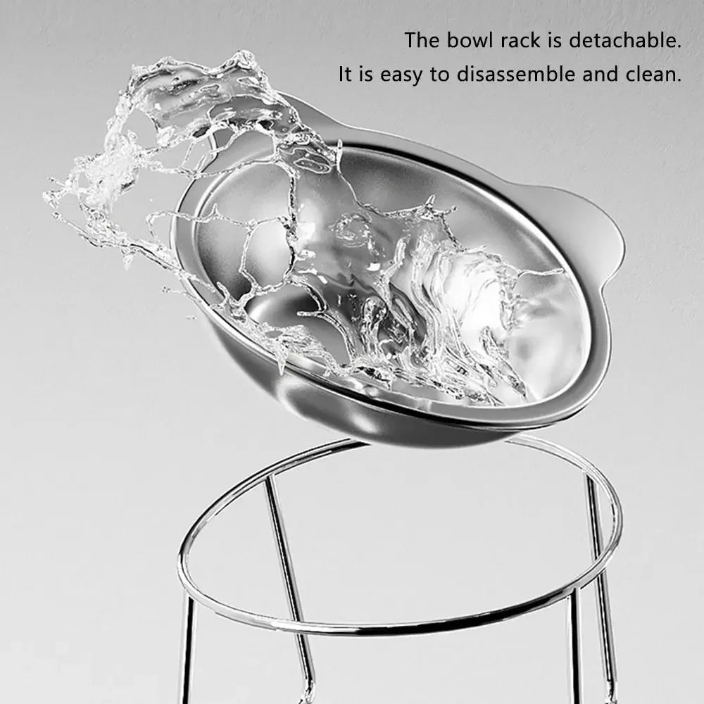 Raised Cat Bowls Tilted Neck Guard Cat Food Bowl 304 Stainless Steel Shatter-resistant Elevated 15° Pet Supplies for Puppy Cat