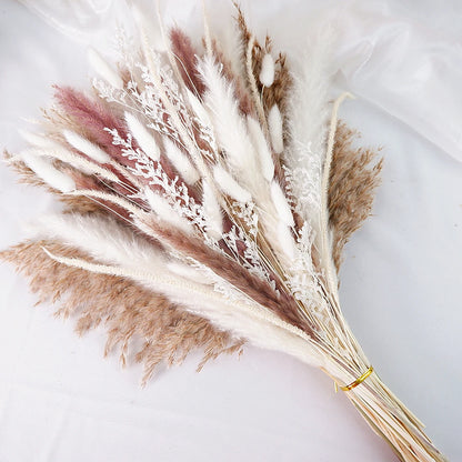 Dried Pampas Grass Decor 80-110 PCS Pampas Grass with Bunny Tails Dried Flowers Reed Grass Bouquet for Wedding Boho Flowers