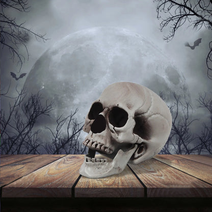 Halloween Large Medium And Small-Sizedskull Props Escape Room Haunted House Decoration Items And Props Decorative Party Supplies