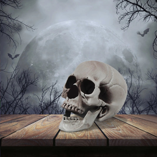 Halloween Large Medium And Small-Sizedskull Props Escape Room Haunted House Decoration Items And Props Decorative Party Supplies