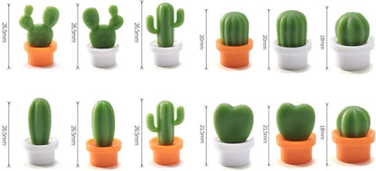Decorative Refrigerator Magnets, Perfect Fridge Magnets for House Office Personal Use (12Pcs Cactus)