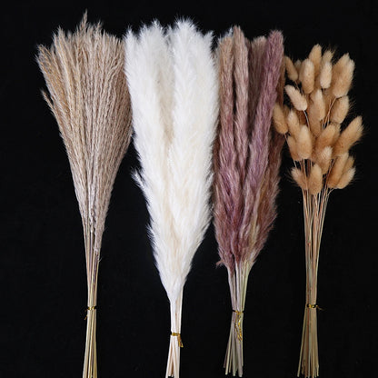 Dried Pampas Grass Decor 80-110 PCS Pampas Grass with Bunny Tails Dried Flowers Reed Grass Bouquet for Wedding Boho Flowers