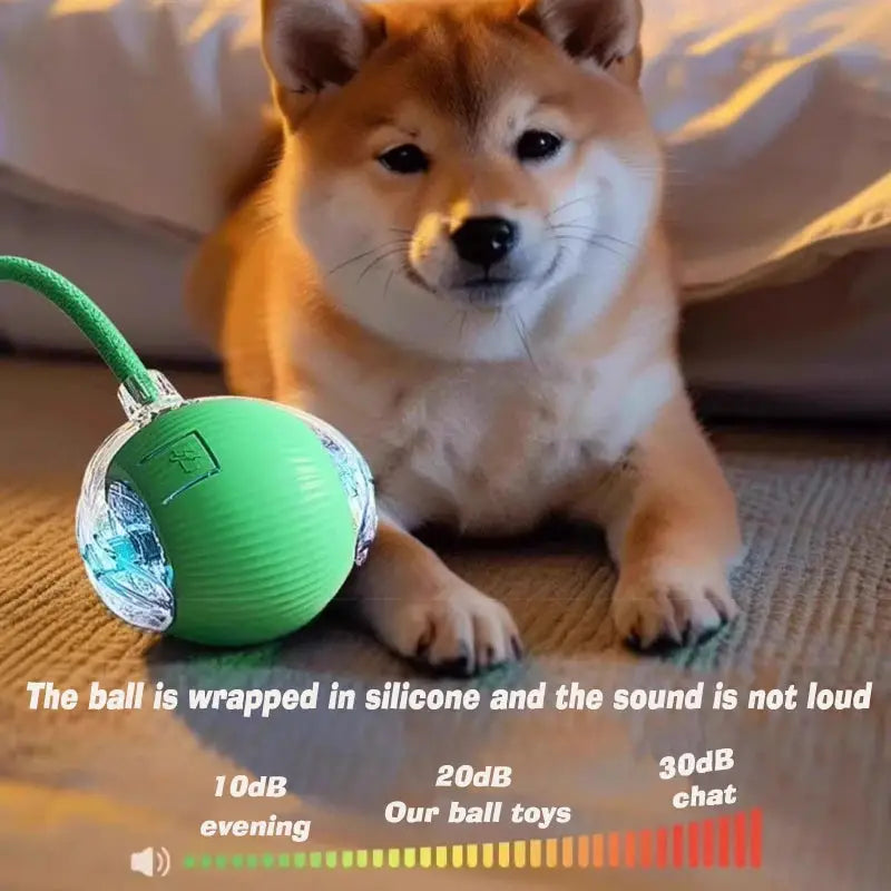 New Dog Interactive Ball Toy,Automatic Rolling Dog Ball Rechargeable,Smart Puppy Interactive Toy,Intelligent Balls Toy for Dogs
